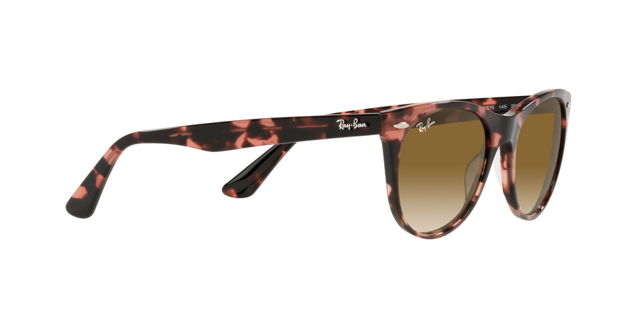 Wayfarer II Fleck RB2185 – Pink Havana / Clear Gradient Brown