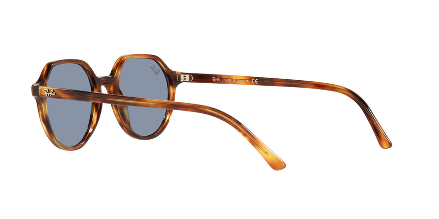Thalia RB2195 – Tortoise / Blue
