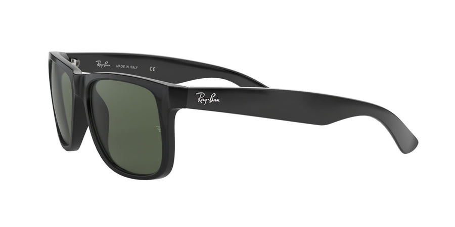 Justin Collection RB4165 – Black / Dark Green