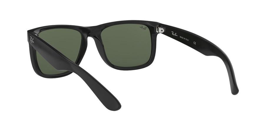 Justin Collection RB4165 – Black / Dark Green