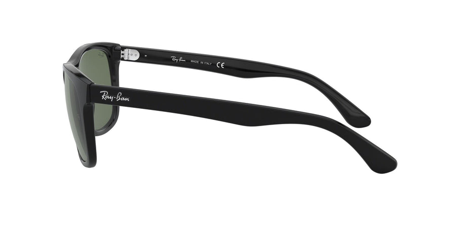 RB4181 – Black / Dark Green