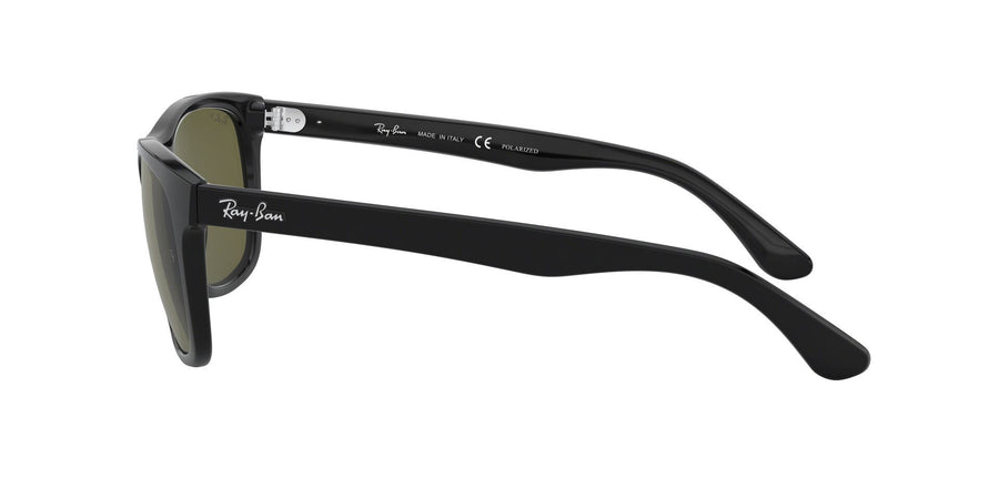 RB4181 – Black / Green