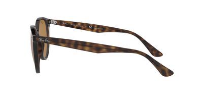 RB4305 – Havana / Brown