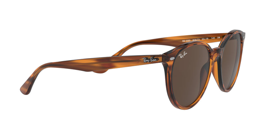 RB4305 – Red / Dark Brown