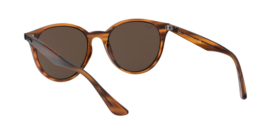 RB4305 – Red / Dark Brown