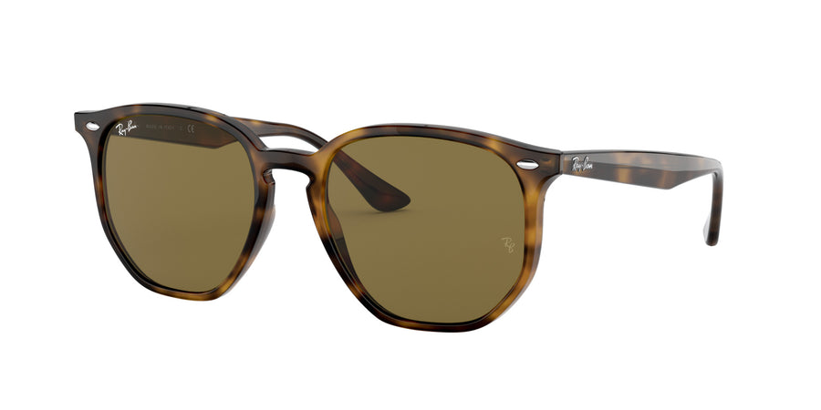 RB4306 – Havana / Dark Brown