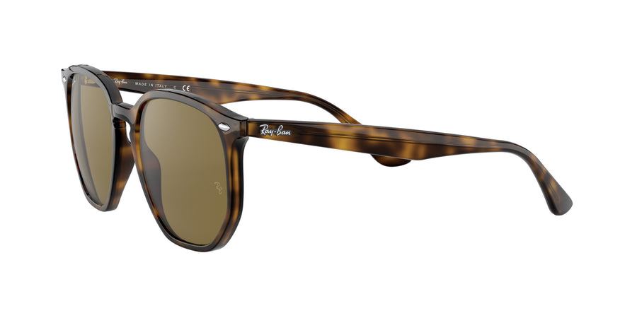 RB4306 – Havana / Dark Brown