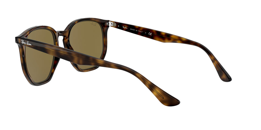 RB4306 – Havana / Dark Brown