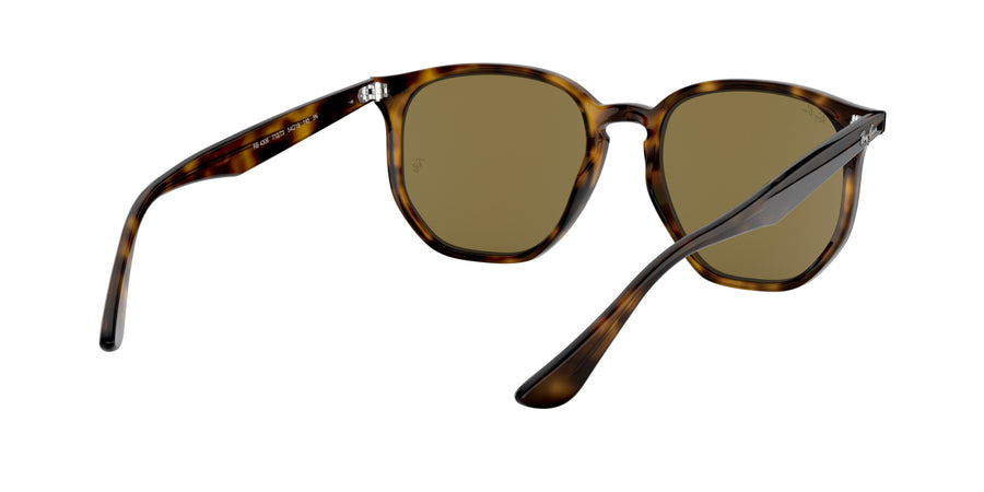 RB4306 – Havana / Dark Brown