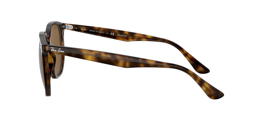 RB4306 – Havana / Brown