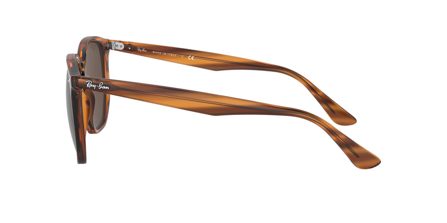 RB4306 – Red / Dark Brown