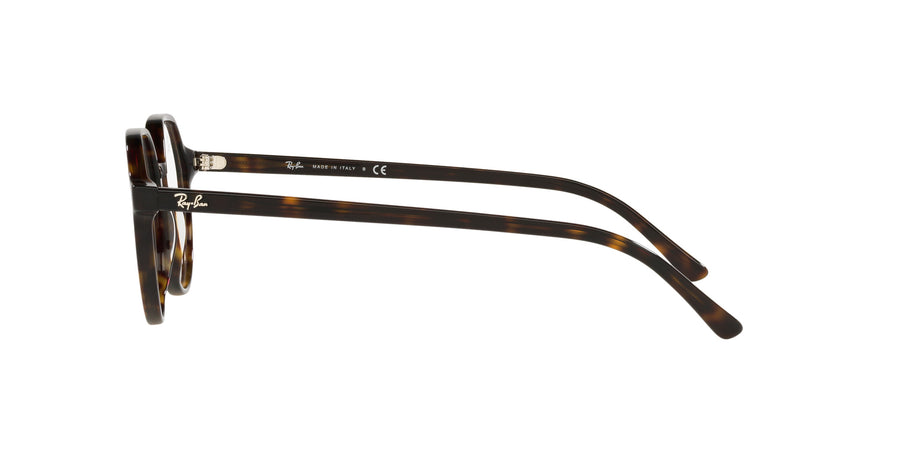 Thalia Optics RX5395 – Tortoise