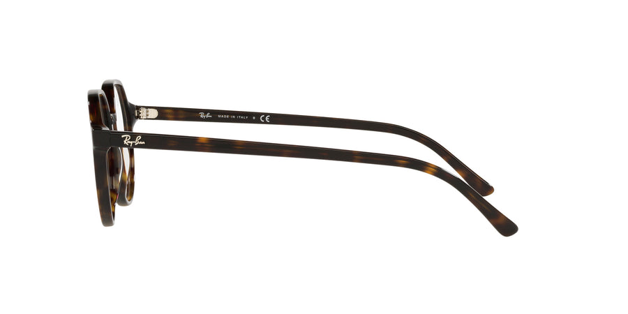 Thalia Optics RX5395 – Tortoise