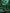 Vertex