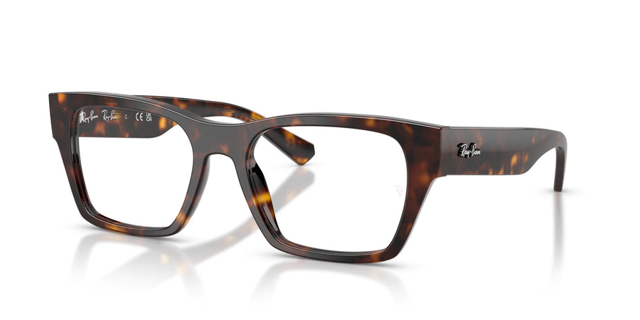 Acetate Unisex Optical Frame RX5448 – Havana
