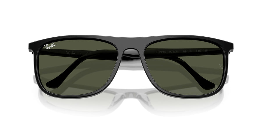 Acetate Unisex Sunglass RB2216 – Black