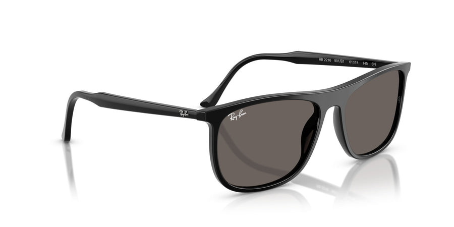 Acetate Unisex Sunglass RB2216 – Black