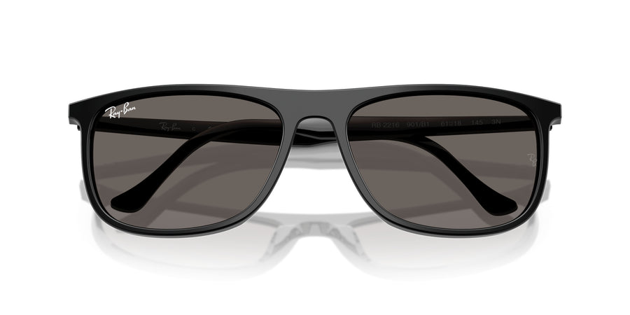 Acetate Unisex Sunglass RB2216 – Black