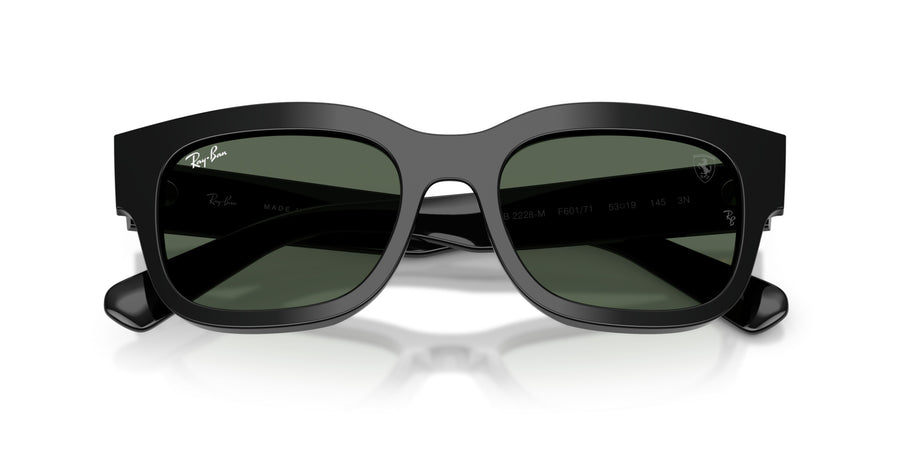 Acetate Unisex Sunglass RB2228M – Black / Dark Green