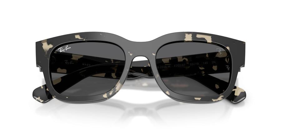Acetate Unisex Sunglass RB2228M – Grey / Dark Grey