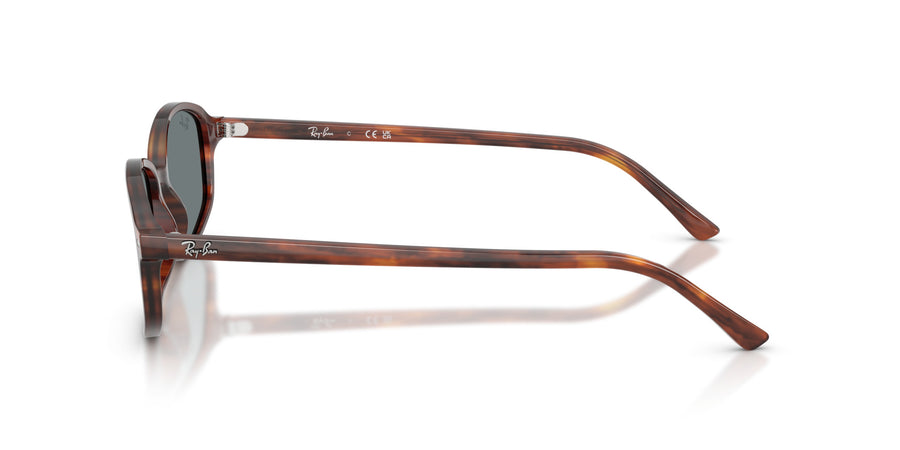 Acetate Unisex Sunglass RB2232 – Havana / Blue