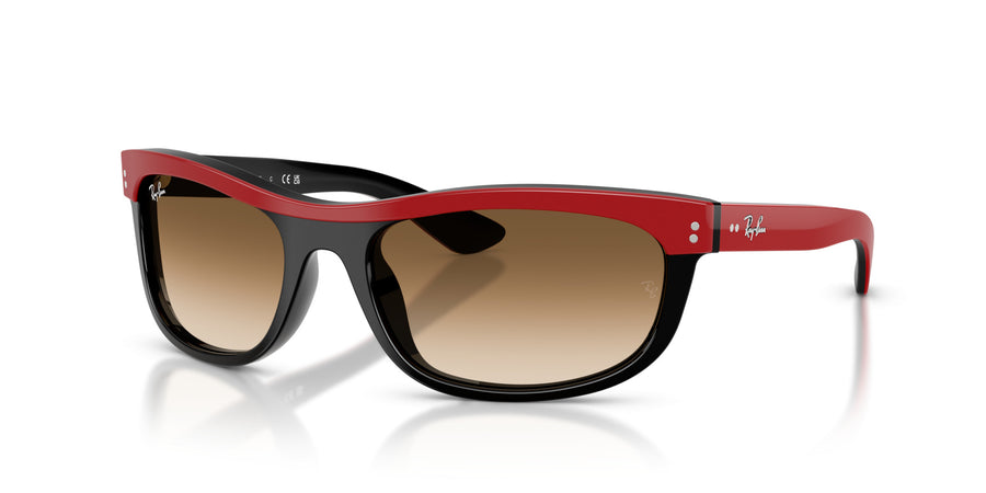 Acetate Unisex Sunglass RB2489 – Red / Clear Gradient Brown