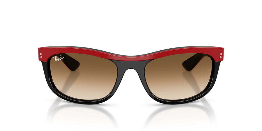 Acetate Unisex Sunglass RB2489 – Red / Clear Gradient Brown