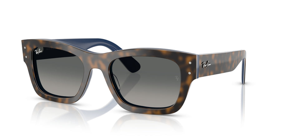 Acetate Unisex Sunglass RB7683S – Havana / Gradient Grey