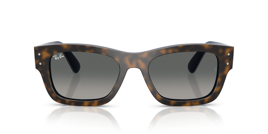 Acetate Unisex Sunglass RB7683S – Havana / Gradient Grey