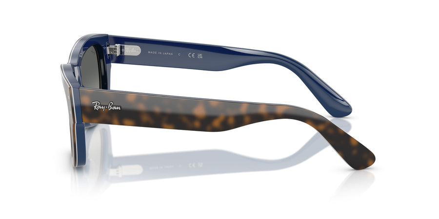 Acetate Unisex Sunglass RB7683S – Havana / Gradient Grey