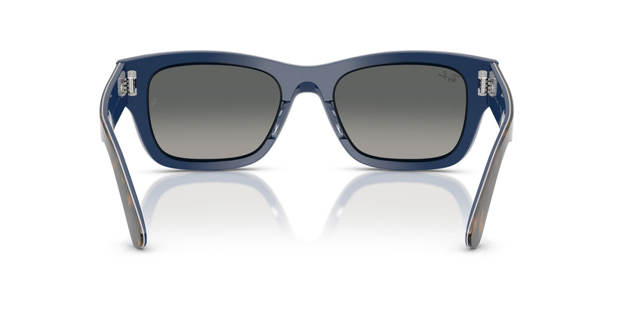 Acetate Unisex Sunglass RB7683S – Havana / Gradient Grey