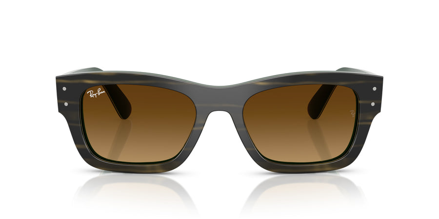 Acetate Unisex Sunglass RB7683S – Green / Gradient Brown