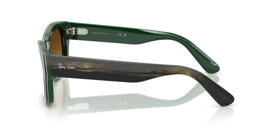 Acetate Unisex Sunglass RB7683S – Green / Gradient Brown