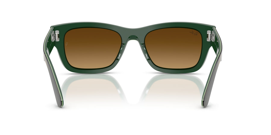 Acetate Unisex Sunglass RB7683S – Green / Gradient Brown