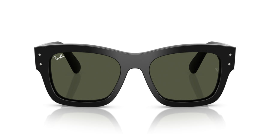 Acetate Unisex Sunglass RB7683S – Black / Green