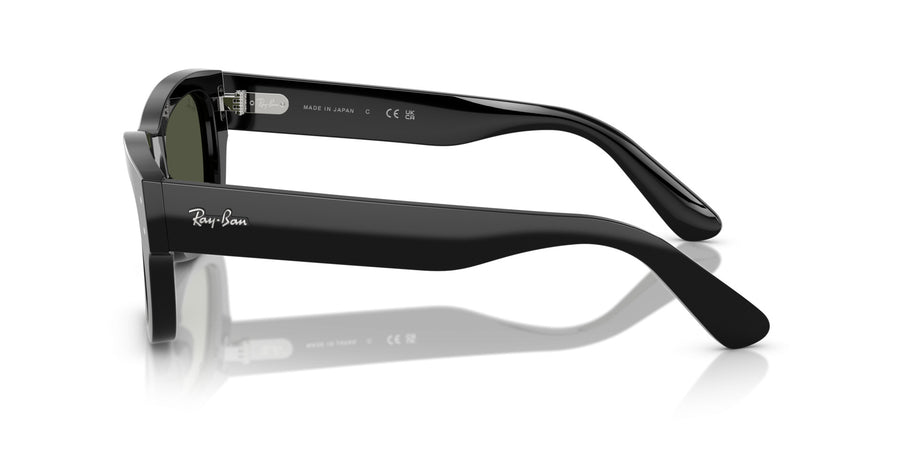 Acetate Unisex Sunglass RB7683S – Black / Green