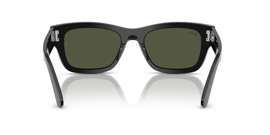 Acetate Unisex Sunglass RB7683S – Black / Green