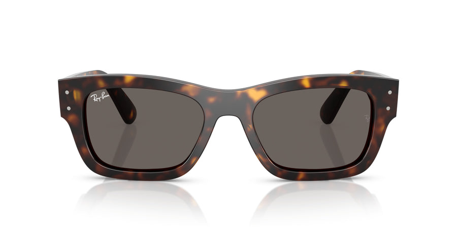 Acetate Unisex Sunglass RB7683S – Havana / Dark Grey