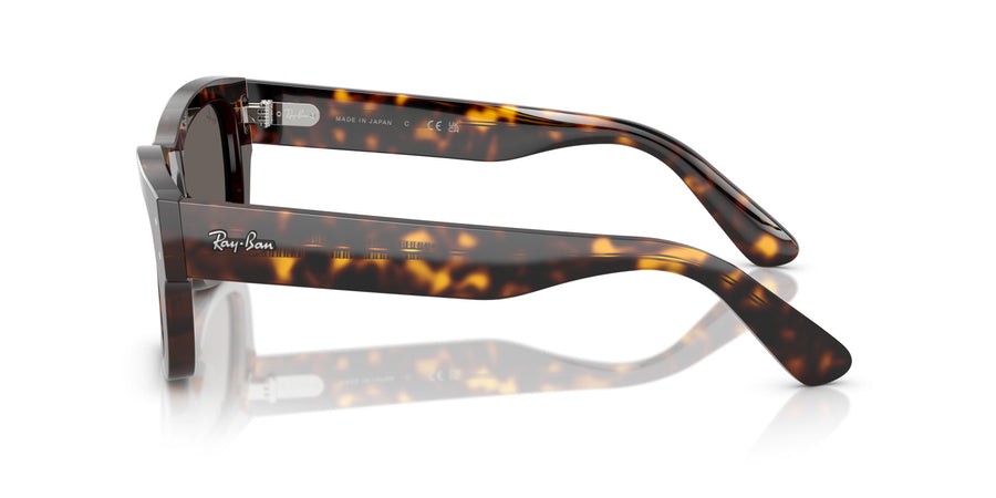 Acetate Unisex Sunglass RB7683S – Havana / Dark Grey