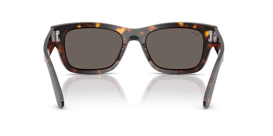 Acetate Unisex Sunglass RB7683S – Havana / Dark Grey