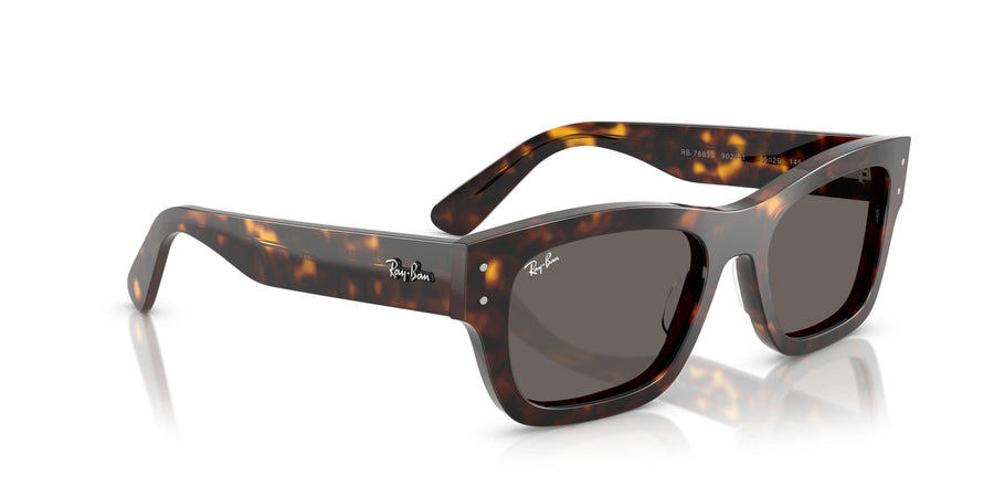 Acetate Unisex Sunglass RB7683S – Havana / Dark Grey