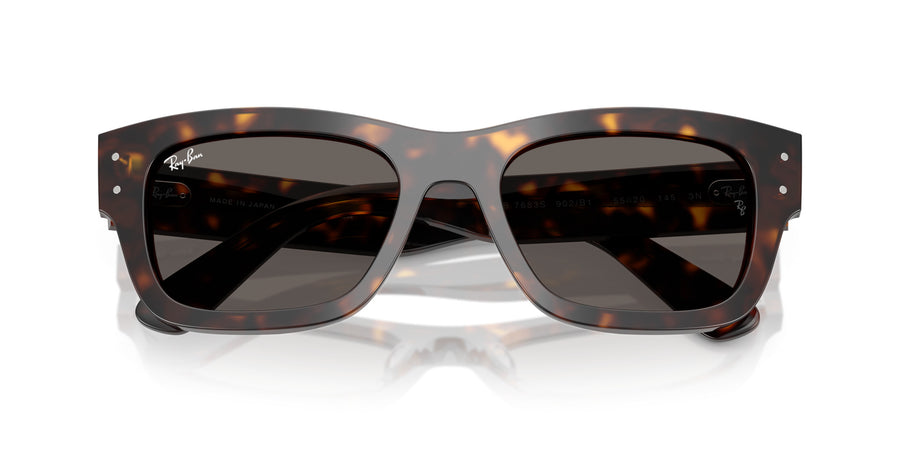 Acetate Unisex Sunglass RB7683S – Havana / Dark Grey