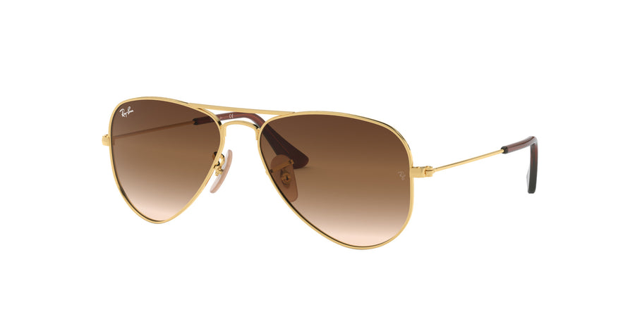 Aviator Junior RJ9506 – Gold / Brown Gradient Dark Brown
