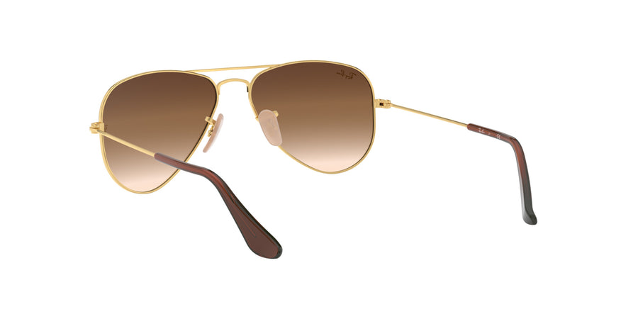 Aviator Junior RJ9506 – Gold / Brown Gradient Dark Brown