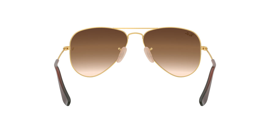 Aviator Junior RJ9506 – Gold / Brown Gradient Dark Brown