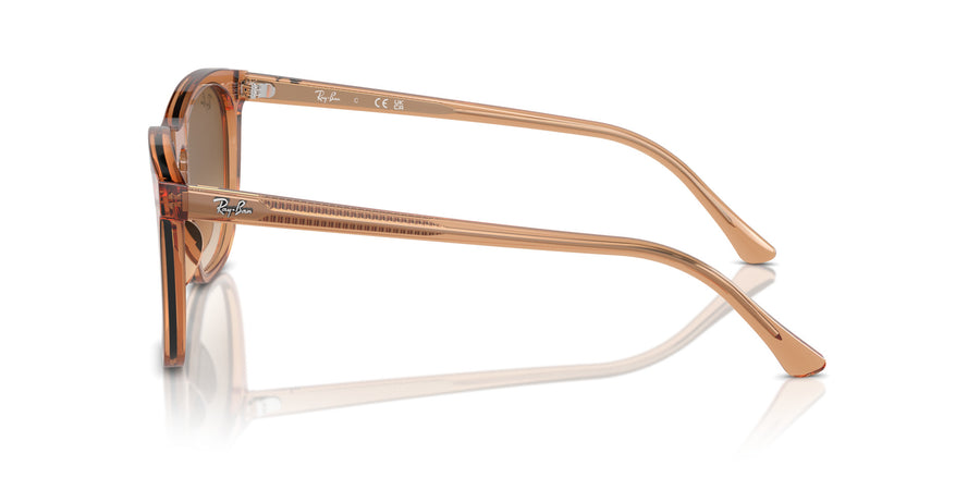 Beate RB2210 – Brown / Clear Gradient Brown