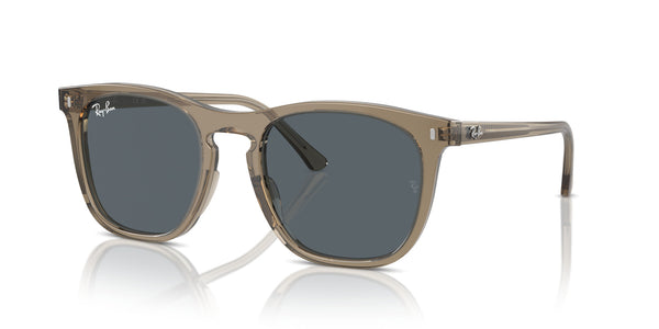 Beate RB2210 – Brown / Blue
