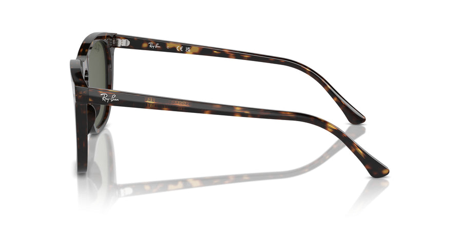 Beate RB2210 – Havana / Green