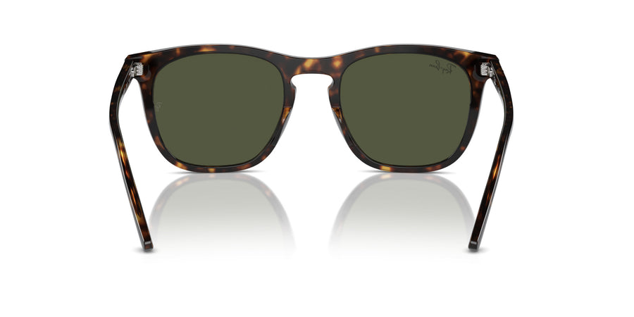 Beate RB2210 – Havana / Green