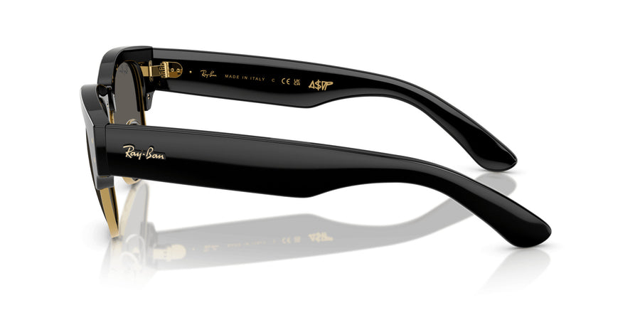 Blacked Out RB0316S – Black / Black